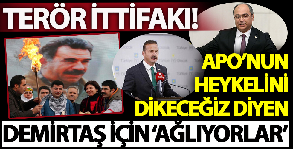 CHP ve İyi Parti'den skandal 'Selahattin Demirtaş' çağrısı