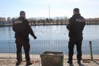 Kızılırmak'ta Aç Kalan Kaz Ve Ördekleri Polisler Besledi Haberi