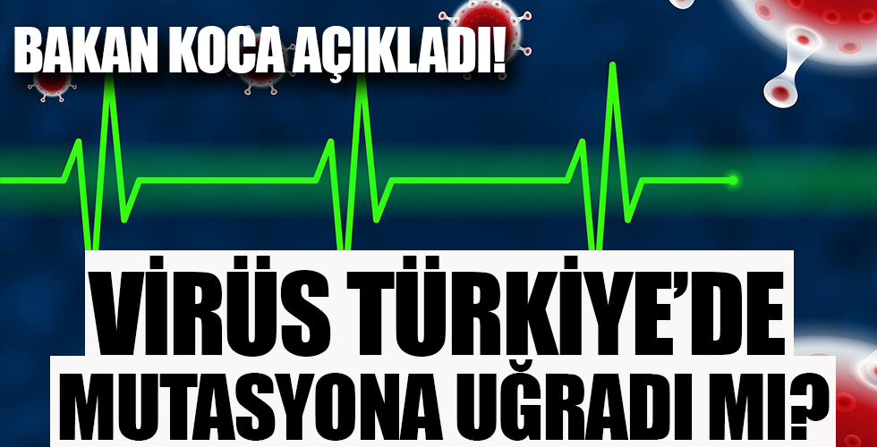 Türkiye'deki koronavirüs vakalarında mutasyona rastlandı mı?