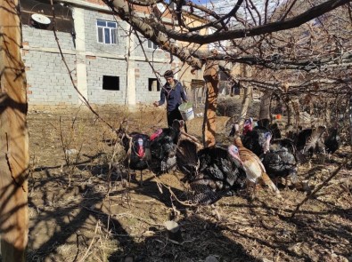 Batman'da Hindiler Yılbaşı Öncesi Satışa Çıkarıldı