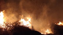 Bursa'da Sazlık Alanda Yangın Haberi