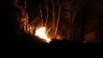 Ordu'daki Orman Yangınına Müdahale Sürüyor