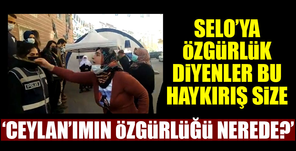 Diyarbakır annesinden yürek yakan haykırış!