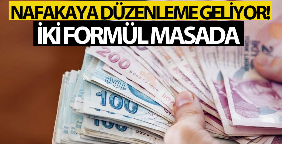 Nafakaya düzenleme geliyor: İki formül masada