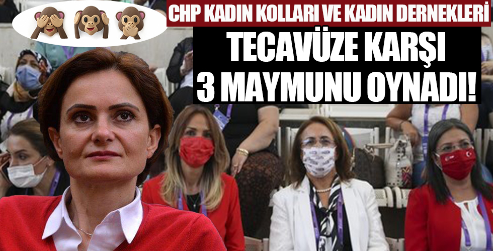 CHP Kadın Kolları ve kadın örgütleri CHP'deki tecavüz ve tacize sessiz kaldı