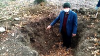 Define Avcıları 150 Yıllık Mezarı Talan Etti Haberi