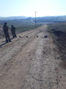 Diyarbakır'da 2 Köy Karantinaya Alındı