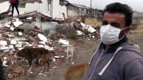 Kars'ta Kısmen Boşaltılan Köyde Sahipsiz Kalan Köpeklere Doğa Koruma Ekipleri Sahip Çıktı Haberi