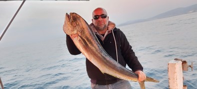 Kuşadası Körfezi'nde 15 Kiloluk Lambuka Balığı Yakalandı