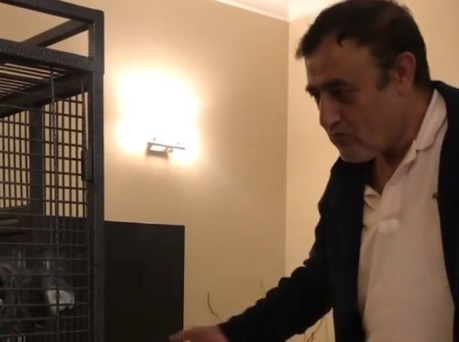 Mahmut Tuncer papağanı ile halay çekti