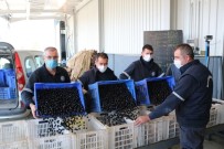 Marmarabirlik'ten Üreticiye Ödeme