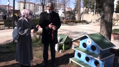 Yozgat Belediyesi Sokak Kediler İçin 20 Barınak Yaptırdı