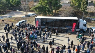 330 Aileye 27 Bin Ceviz Fidanının Dağıtıldı