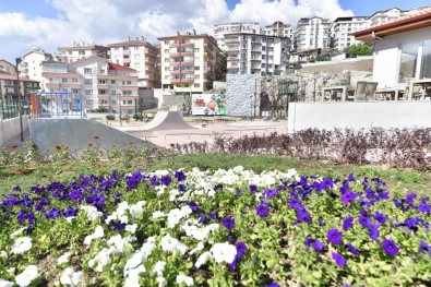Mamak Yeşil Alanda Altın Çağlarını Yaşıyor