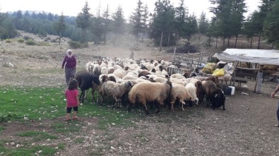 Mersin'de Orman Köylüsüne 8 Milyon 700 Bin TL Kredi Desteği Verildi