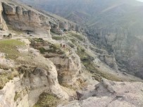 Tunceli'de Kayalıklarda Mahsur Kalan Keçileri AFAD Ekipleri Kurtardı