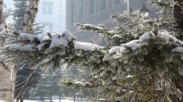 Ardahan'da Sibirya Soğukları Haberi