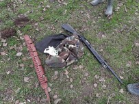 Düzce'de Kaçak Avlanan 11 Avcıya 11 Bin Lira Ceza