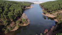 (Özel) İstanbul Aydos Gölü Alarm Veriyor Haberi