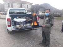 Tunceli'de  Avlanan 5 Şahıs Yakalandı