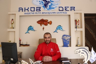Balon Balığı Avı Balıkçıları Sevindirdi