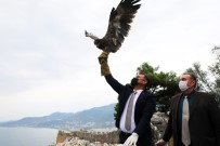 Başkan Yücel, Tedavisi Tamamlanan Kartalı Doğaya Saldı