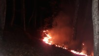 Karabük'te Ormanlık Alanda Yangın