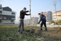 Nilüfer'de Fidan Dikimi Başladı