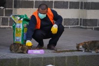 Diyarbakır'da Kısıtlamada Can Dostları Unutulmadı