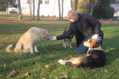 Emniyet Müdürü, Sokak Hayvanlarını Elleriyle Besledi