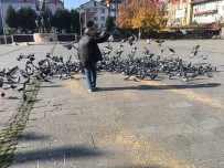 Kısıtlamada Sokak Hayvanları Unutulmadı