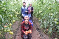 Türkiye'nin Sebze Meyve Deposu Antalya'da Kısıtlama Sebze Meyve Üretimine Engel Olmadı Haberi