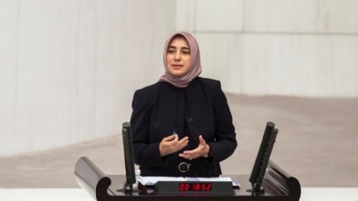 Algı operasyonuna kalkıştılar! AK Partili Özlem Zengin'den cevap