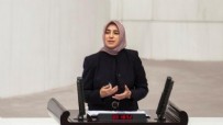 Algı operasyonuna kalkıştılar! AK Partili Özlem Zengin'den cevap
