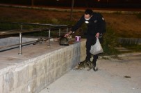 İzmir Polisinden Örnek Davranış Açıklaması Aç Kalan Hayvanları Elleriyle Besledi Haberi