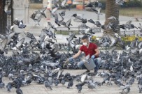 Konak Evde, Belediye Görevde