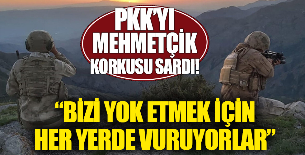 Terör örgütü PKK'yı Mehmetçik korkusu sardı! 'Bizi yok etmek için her yerde vuruyorlar'