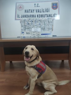 Antakya'da 950 Paket Kaçak Sigara Ele Geçirildi