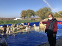 Hesap Makinesini Değil Toprağı Tercih Etti