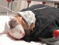 Muğla'da Köpeklerin Saldırısına Uğrayan Emekli Öğretmen Ağır Yaralandı