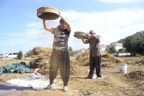 Turizm Bölgesinde Susam Tarımı Yeniden Ayağa Kalkıyor