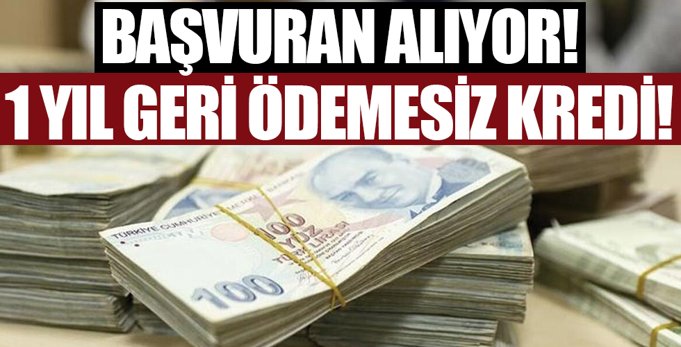 Başvuran alıyor! 1 yıl geri ödemesiz, 5 yıl vadeli kredi!
