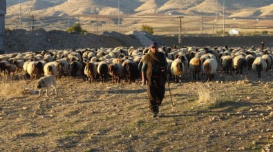 Göçerlerin Zorlu Dönüş Yolculuğu Sürüyor
