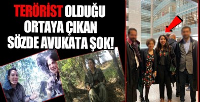 PKK'lı teröristlerle çekilmiş fotoğrafları ortaya çıkan avukata şok