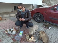 Sokak Hayvanları İçin Harekete Geçti, Mahalle Sakinleri Onu Yalnız Bırakmadı Haberi
