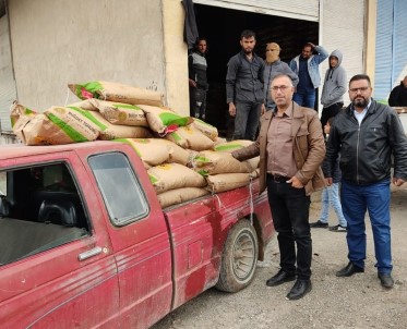 Suriye'de 100 Ton Tohum Dağıtıldı