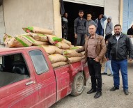 Suriye'de 100 Ton Tohum Dağıtıldı Haberi