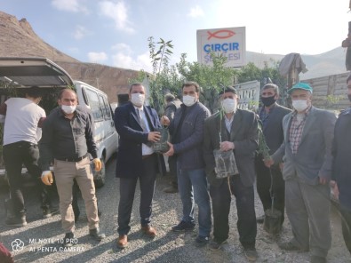 Yüzde 50 Hibe Destekli 27 Bin Fidan Çiftçilere Dağıtıldı