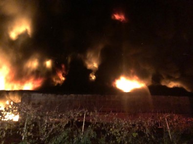 Bursa'daki Yangında 5 Milyonluk Hasar Medyana Geldi