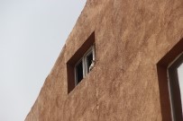 Hırçın Kedi, Miyavlayarak Yardım İstedi, Kurtarılınca Nankörlük Etti